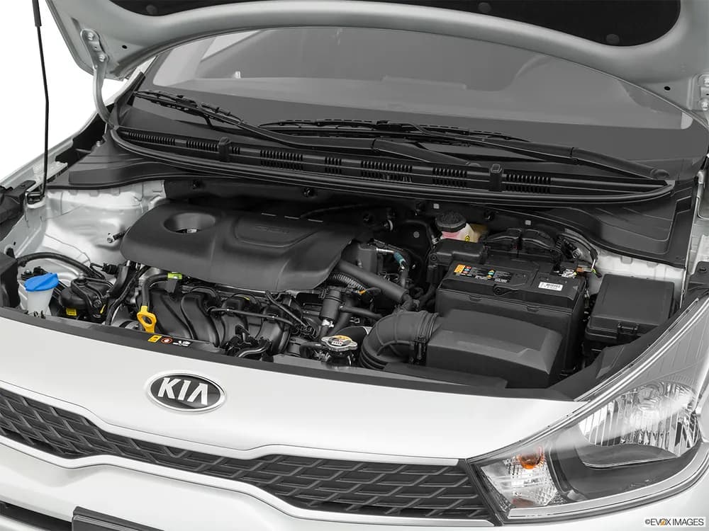 ريو هاتشباك