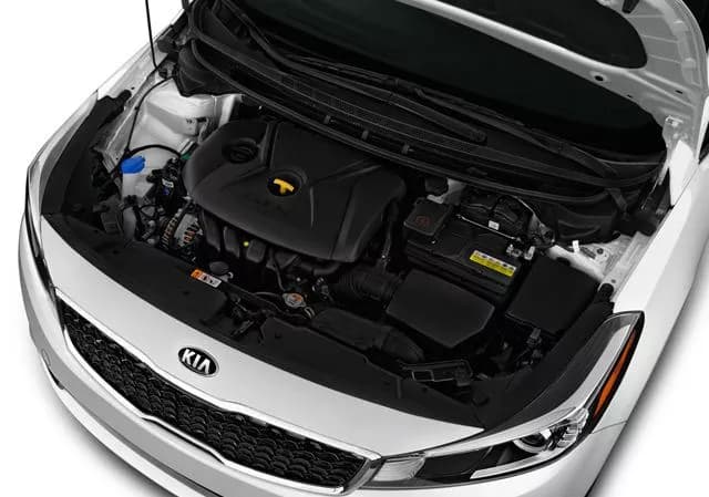 Cerato