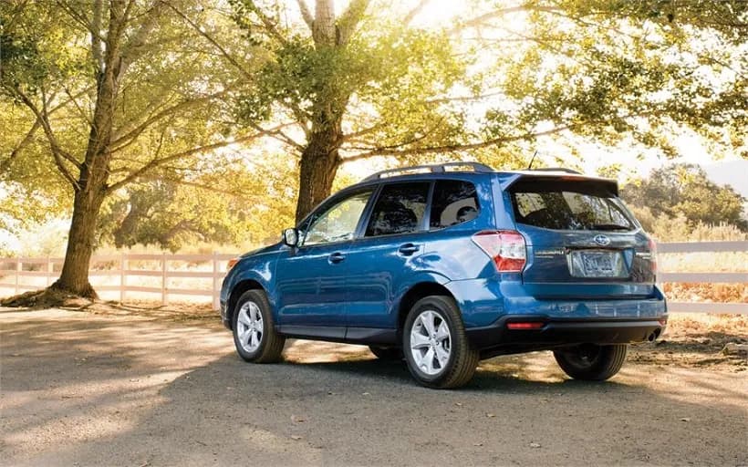 Forester