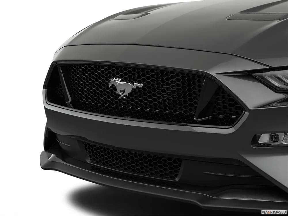 Mustang