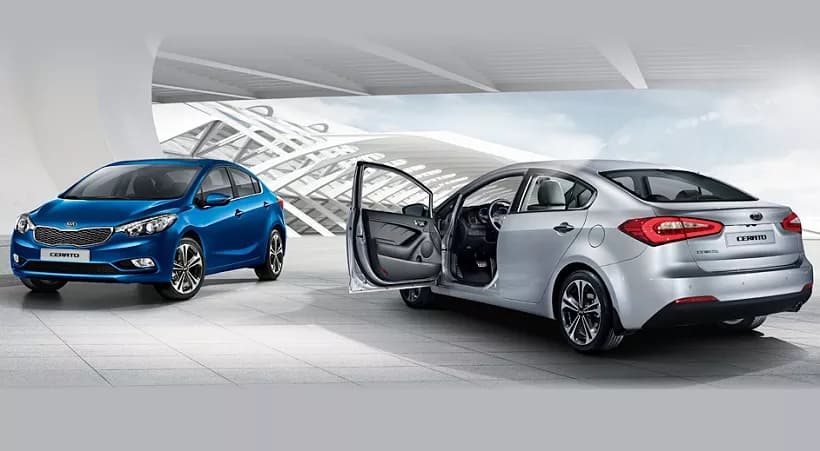 Cerato