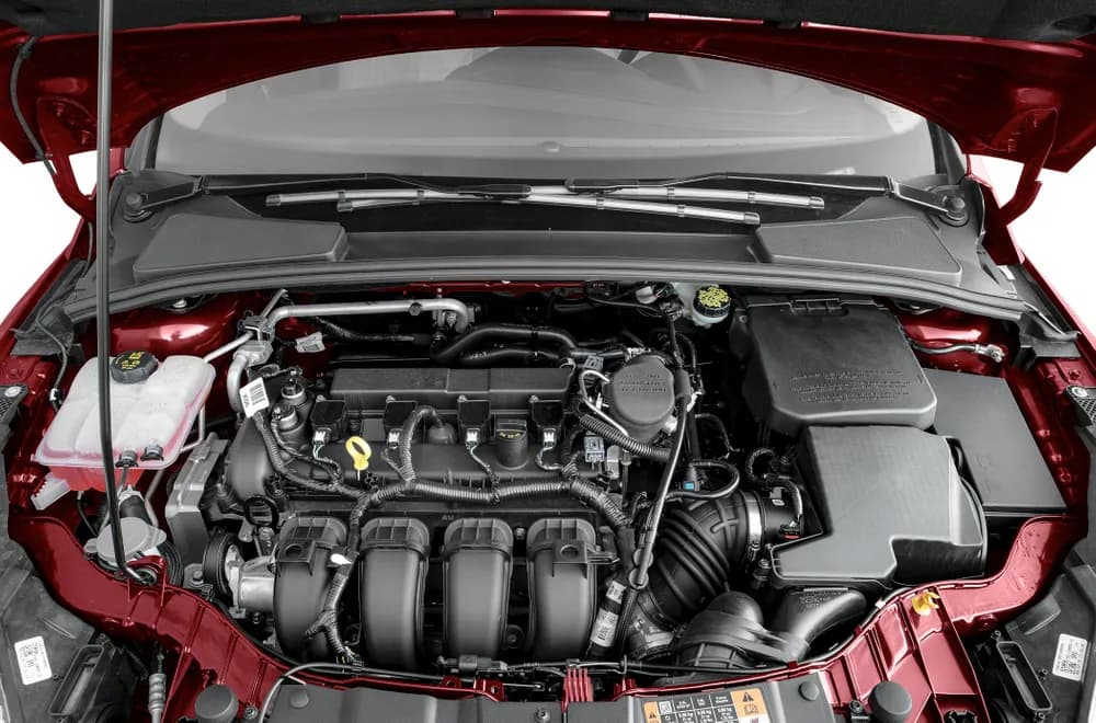Ford Focus 2024 2.0L ST