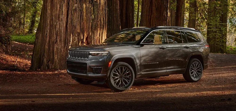 Grand Cherokee