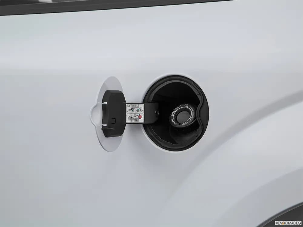 Ford F-150 2019 5.0L Regular Cab XLT (Chrome Pack)