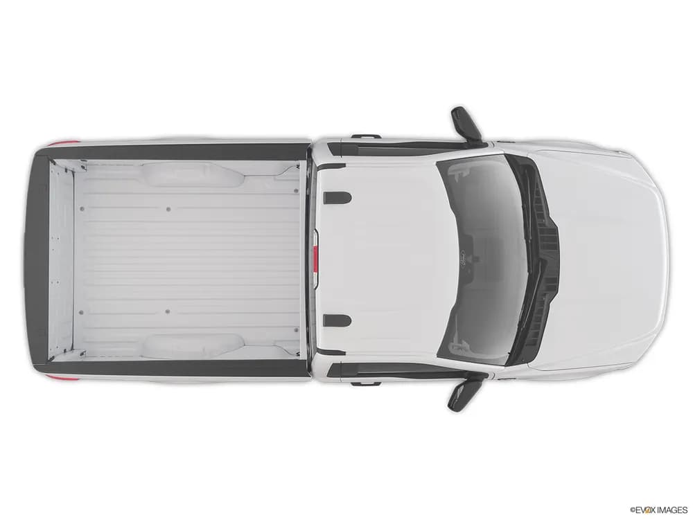 Ford F-150 2021 3.5L Regular Cab XL (2WD)