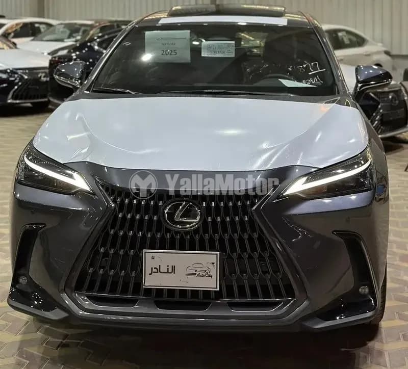 New Lexus NX 2025