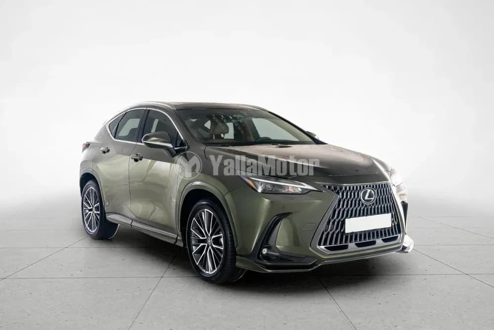Used Lexus NX 350 Luxury AWD 2025