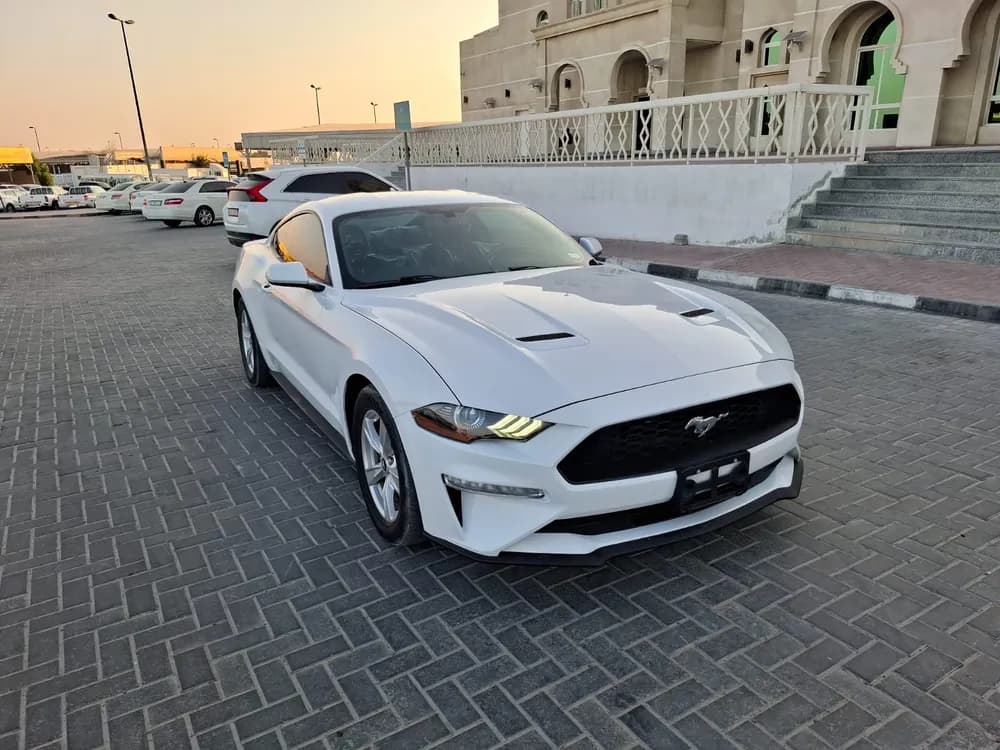 مستعملة فورد موستانج 2.3L إيكوبووست كوبيه 2020