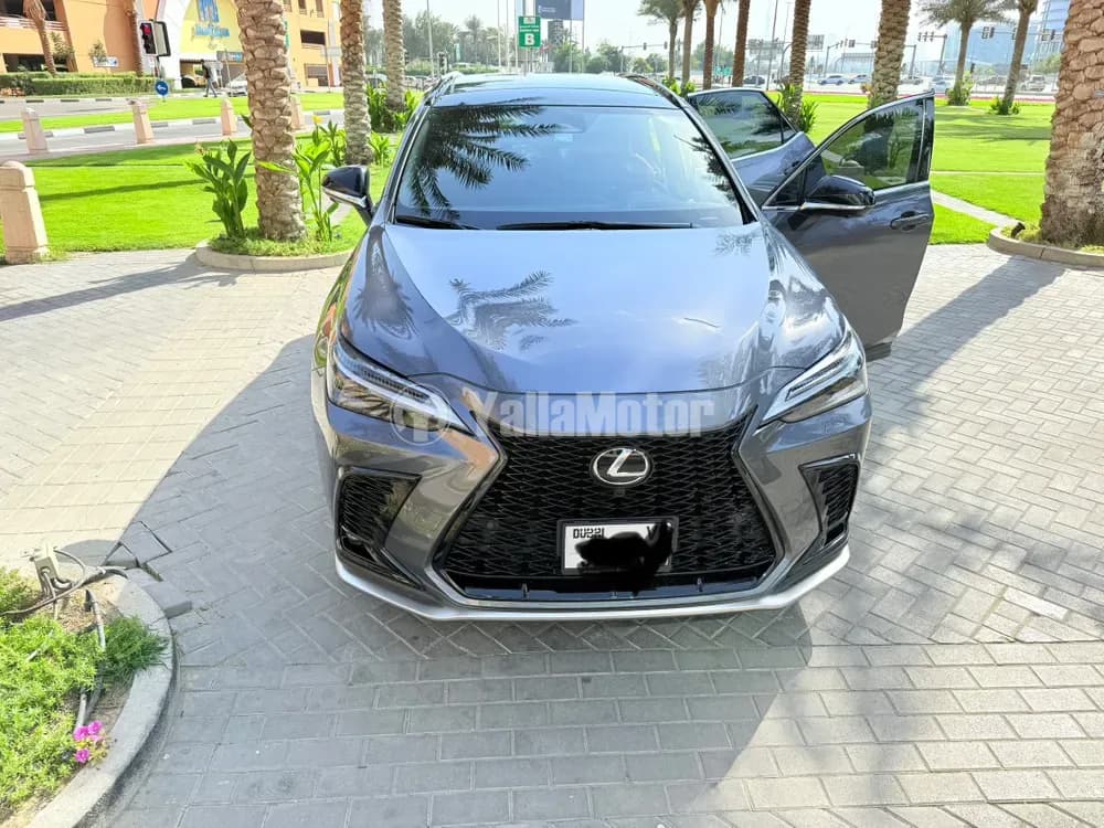 Used Lexus NX 350 F Sport AWD 2024
