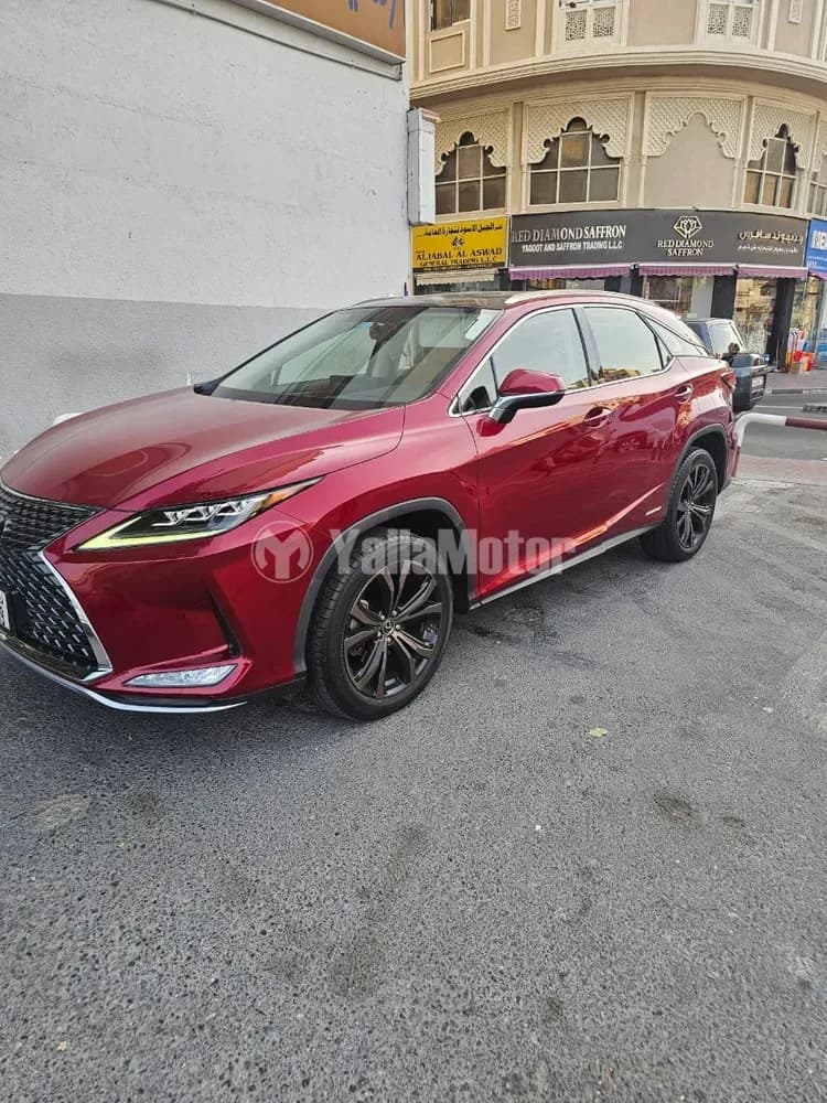 Used Lexus RX Series 2020
