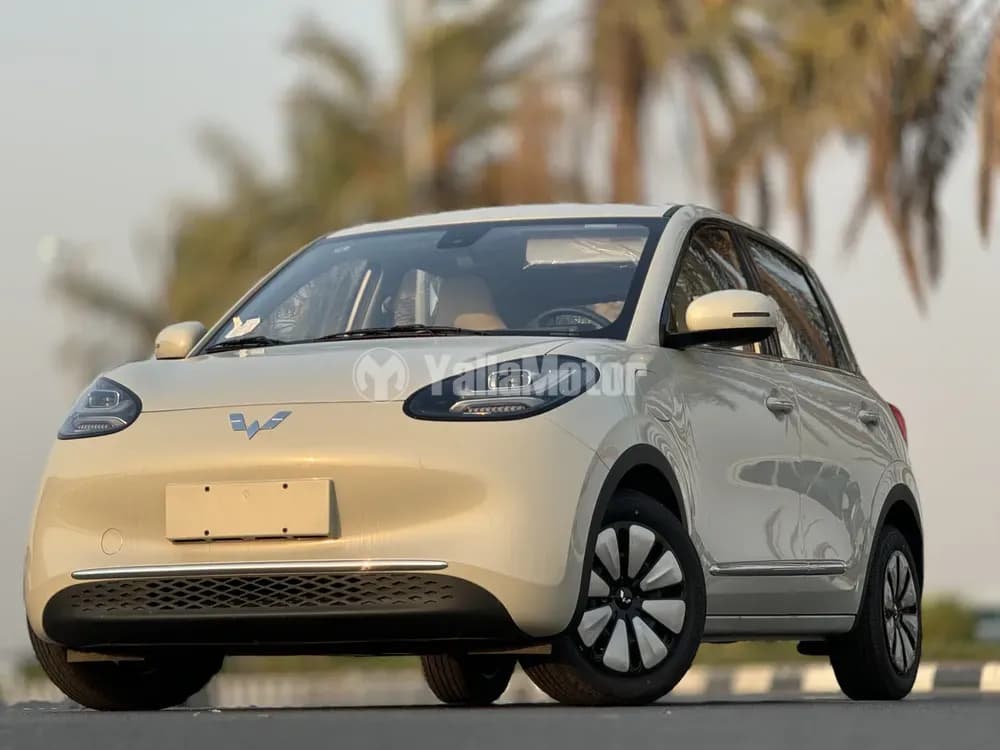 الجديد وولينغ Bingo Electric 2024
