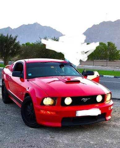 Used Ford Mustang GT 2007 Used Ford Mustang GT 2007 used_cars.forSale