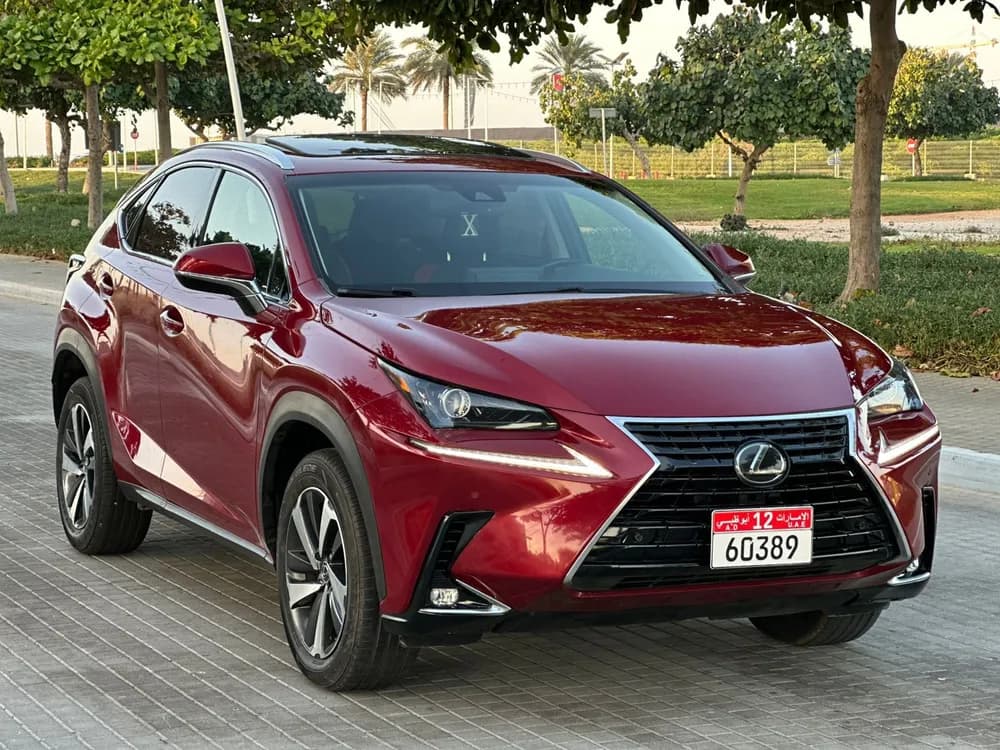 Used Lexus NX 300 Premier 2019