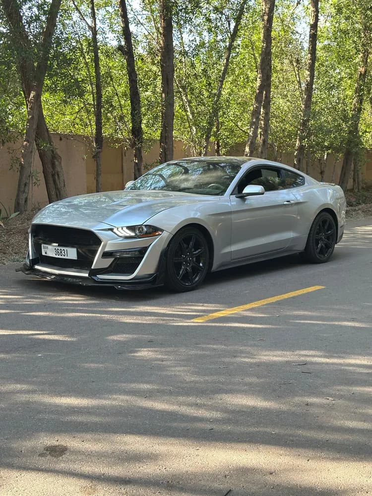 Used Ford Mustang 2.3L EcoBoost Fastback Premium 2019