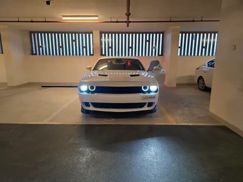 Used Dodge Challenger 3.6L 2019 Used Dodge Challenger 3.6L 2019 for sale