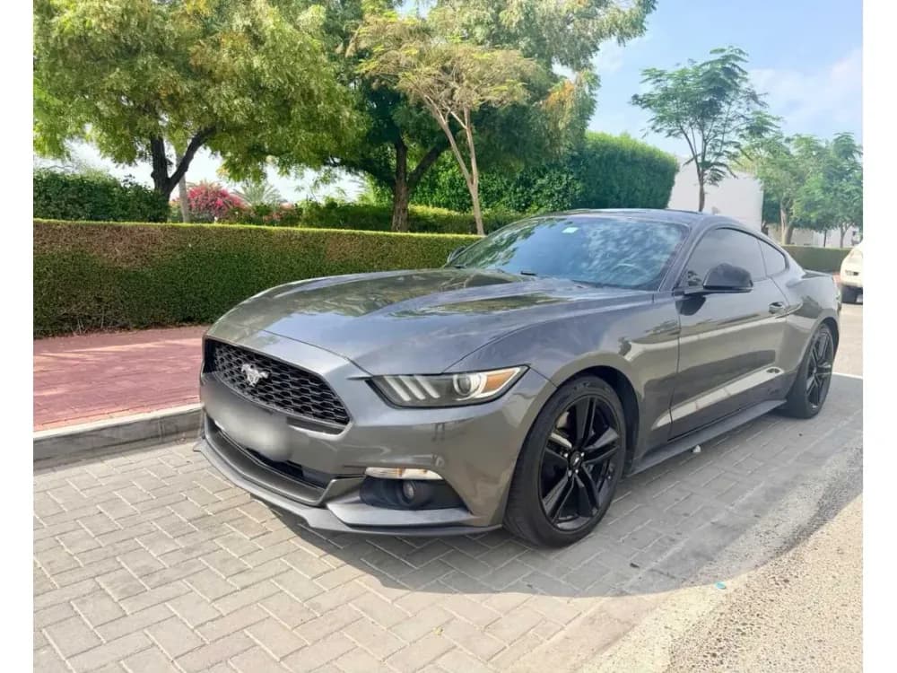 Used Ford Mustang 2016