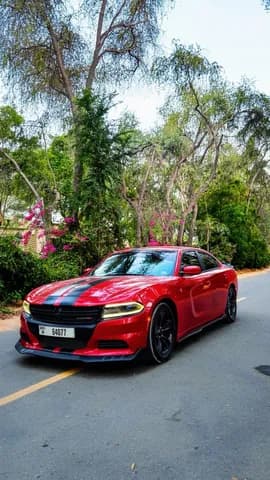 Used Dodge Charger 3.6L SXT (Base) 2016 Used Dodge Charger 3.6L SXT (Base) 2016 used_cars.forSale