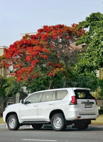 Used Toyota Land Cruiser Prado TX 2018 Used Toyota Land Cruiser Prado TX 2018 used_cars.forSale