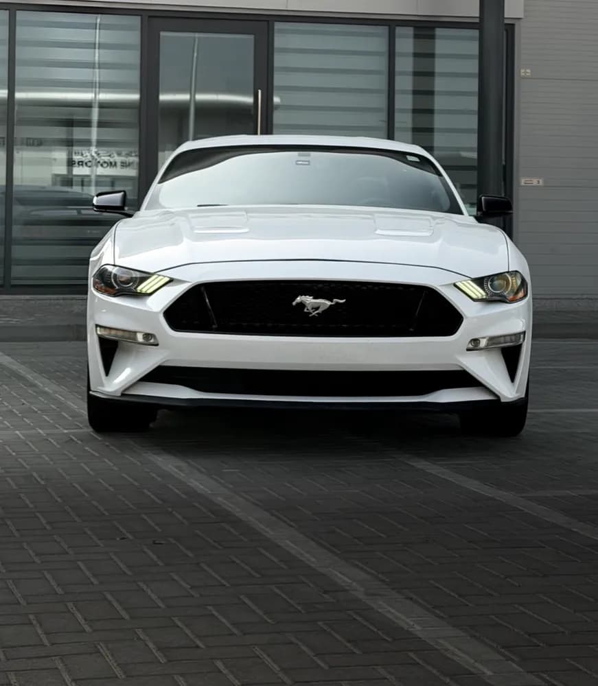 Used Ford Mustang 5.0L 2020