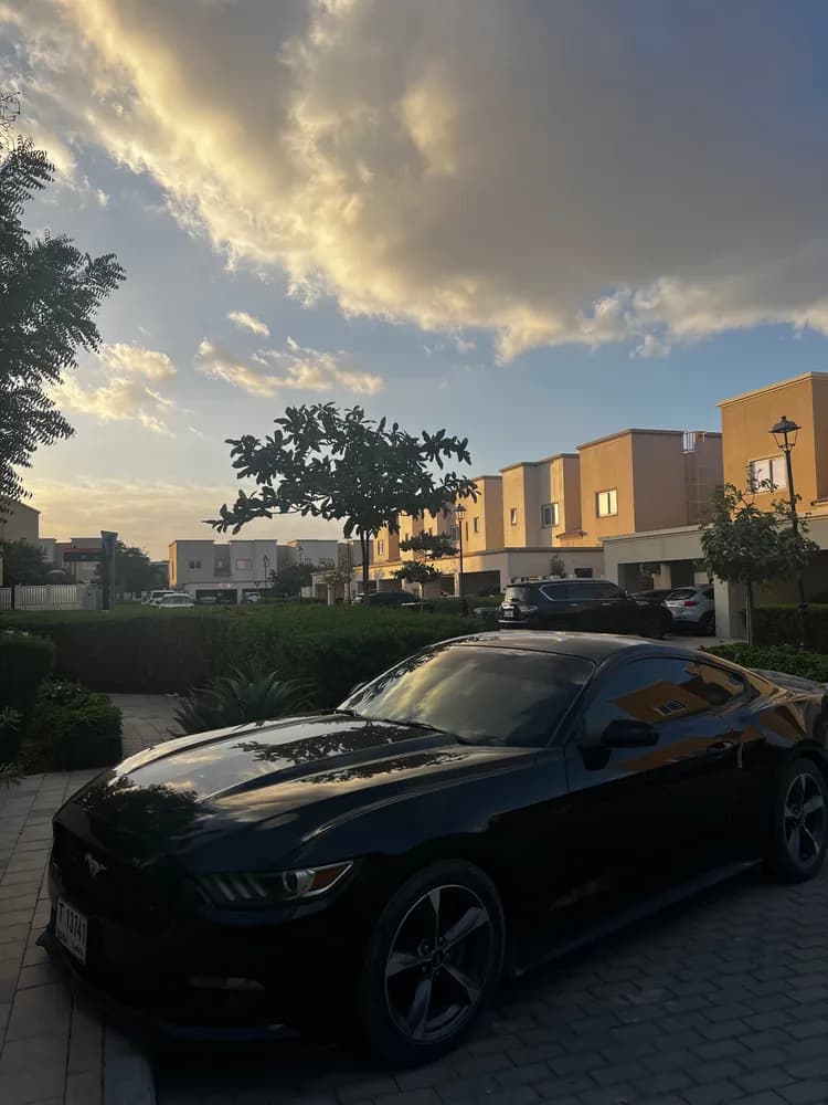 Used Ford Mustang V6 2016