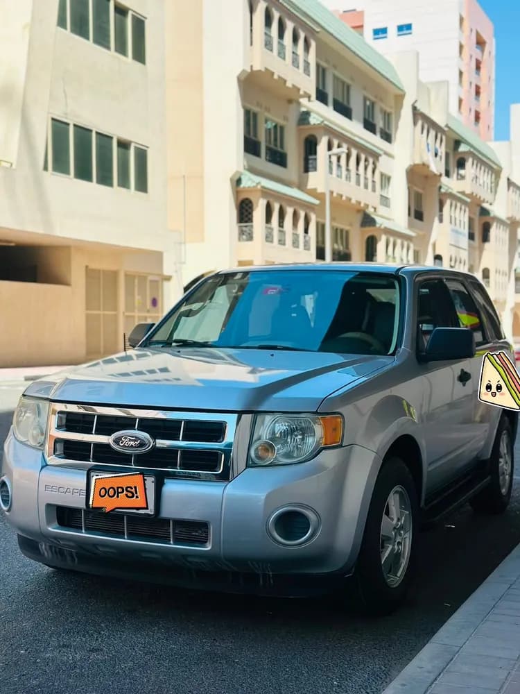 Used Ford Escape 2010