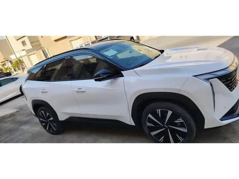 Used Geely Starray 2.0T GL 2024